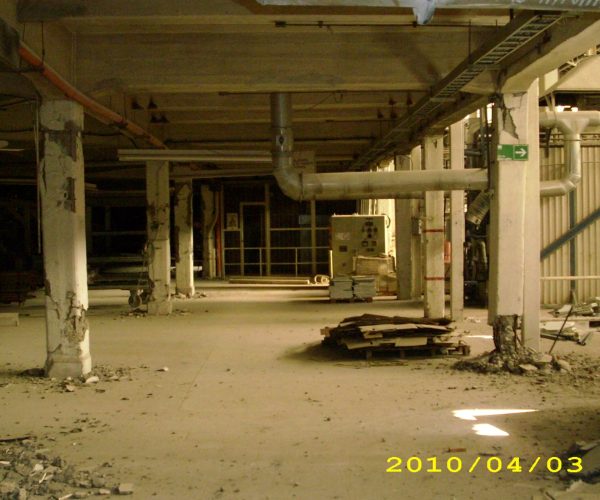 terremoto-2010